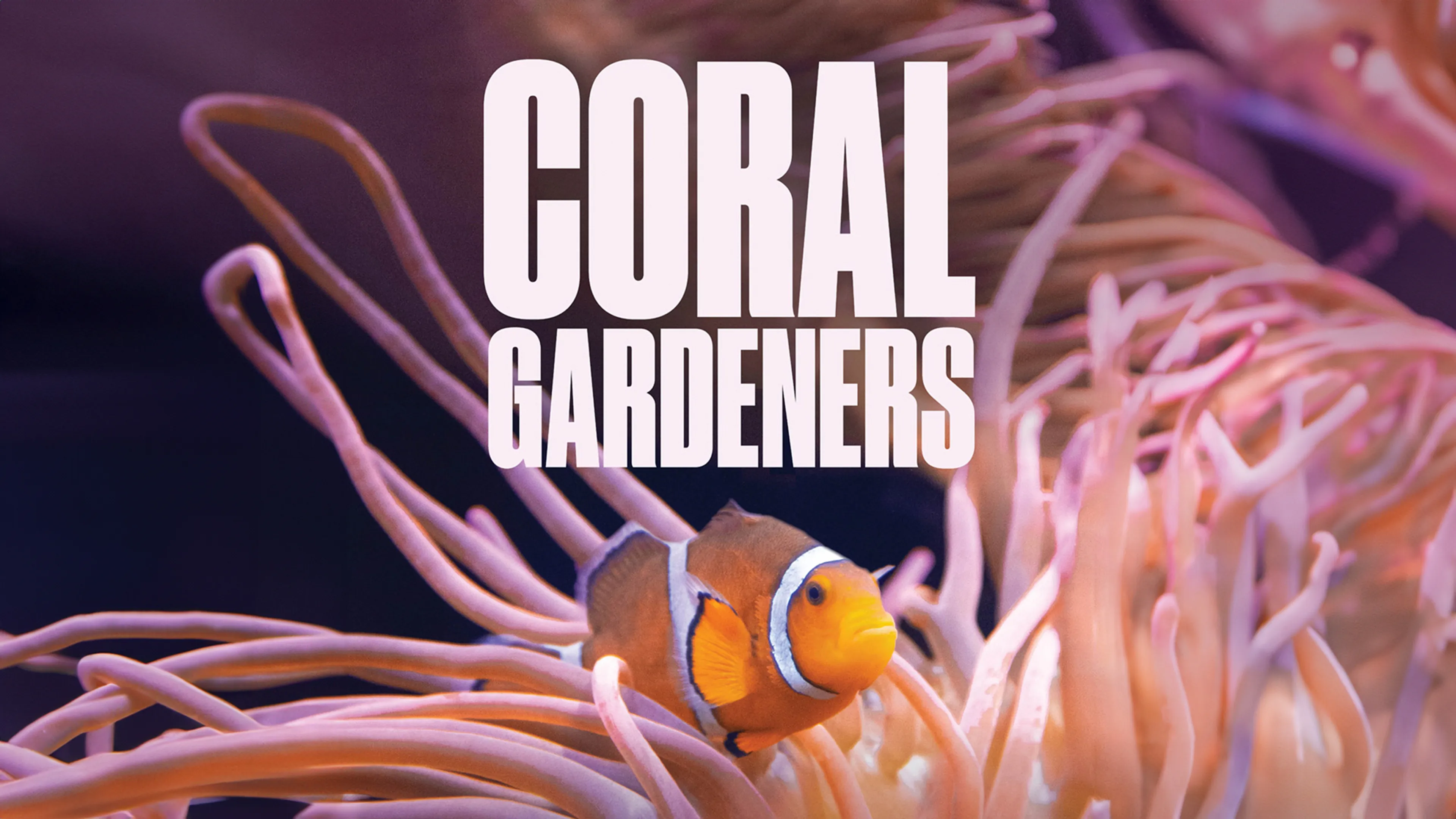 Coral Gardeners poster